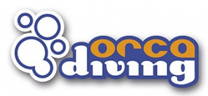 Orca diving