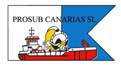 Prosub canarias